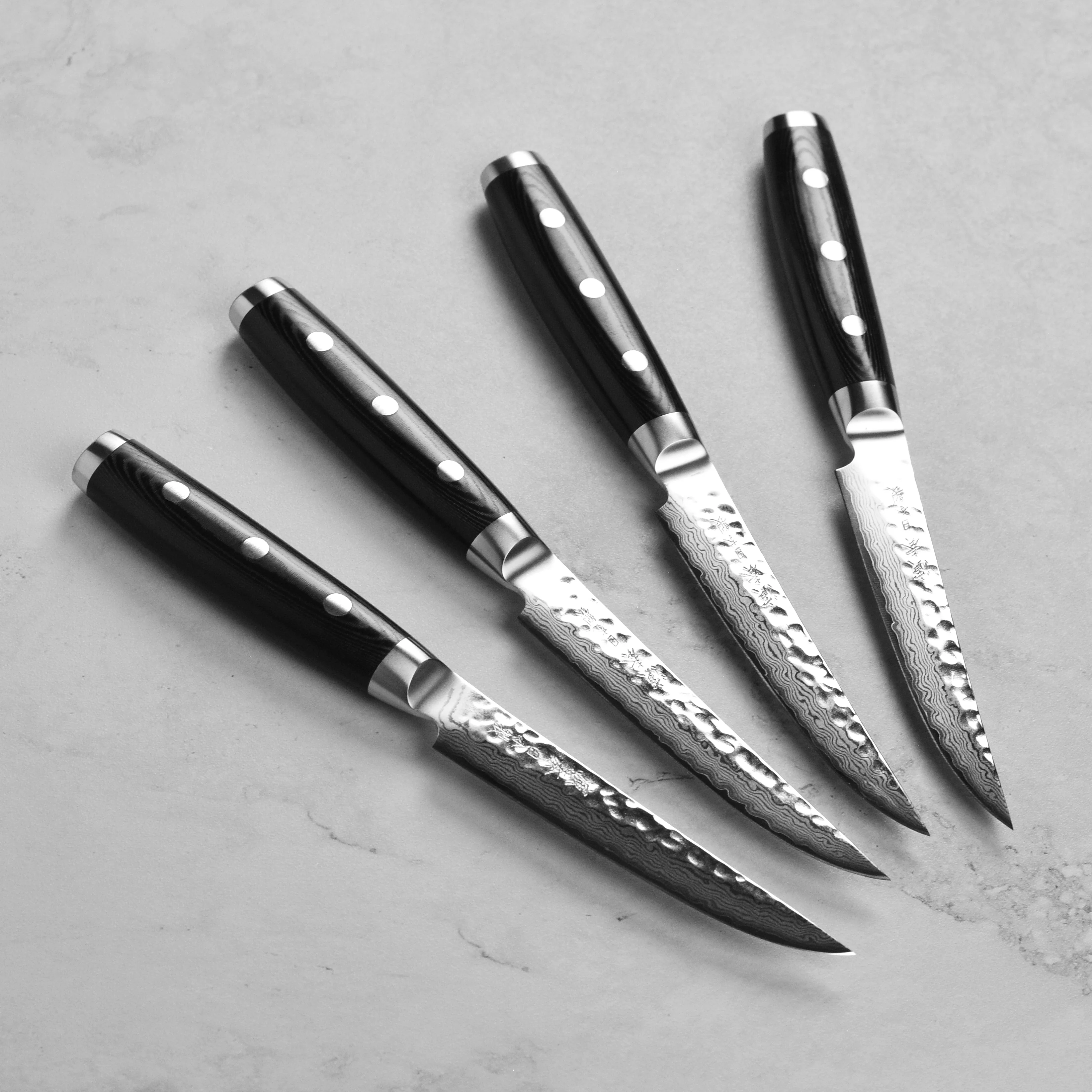 Enso HD 4 Piece Steak Knife Set with Case - Image 2