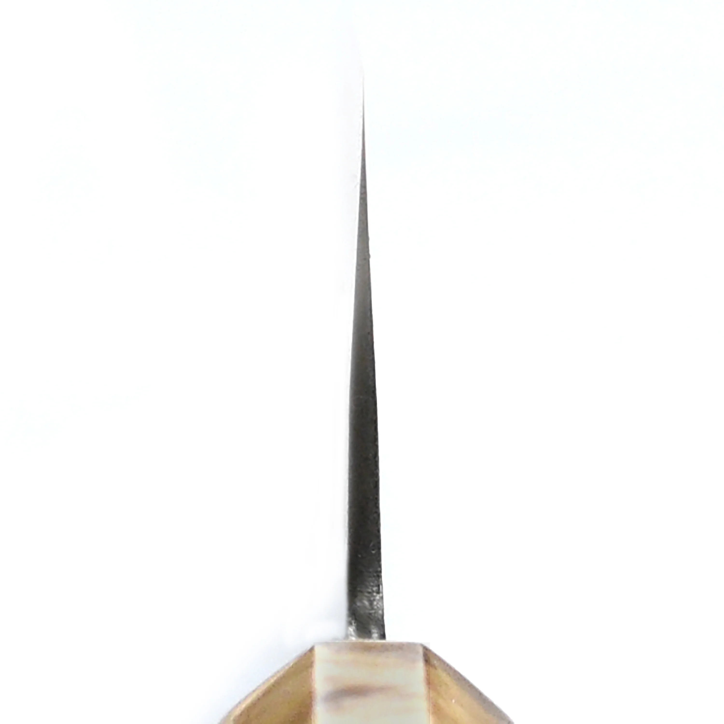 Hozan Tomoe x Hinoura Shirogami #2 Kurouchi 8.25" Gyuto - Image 11