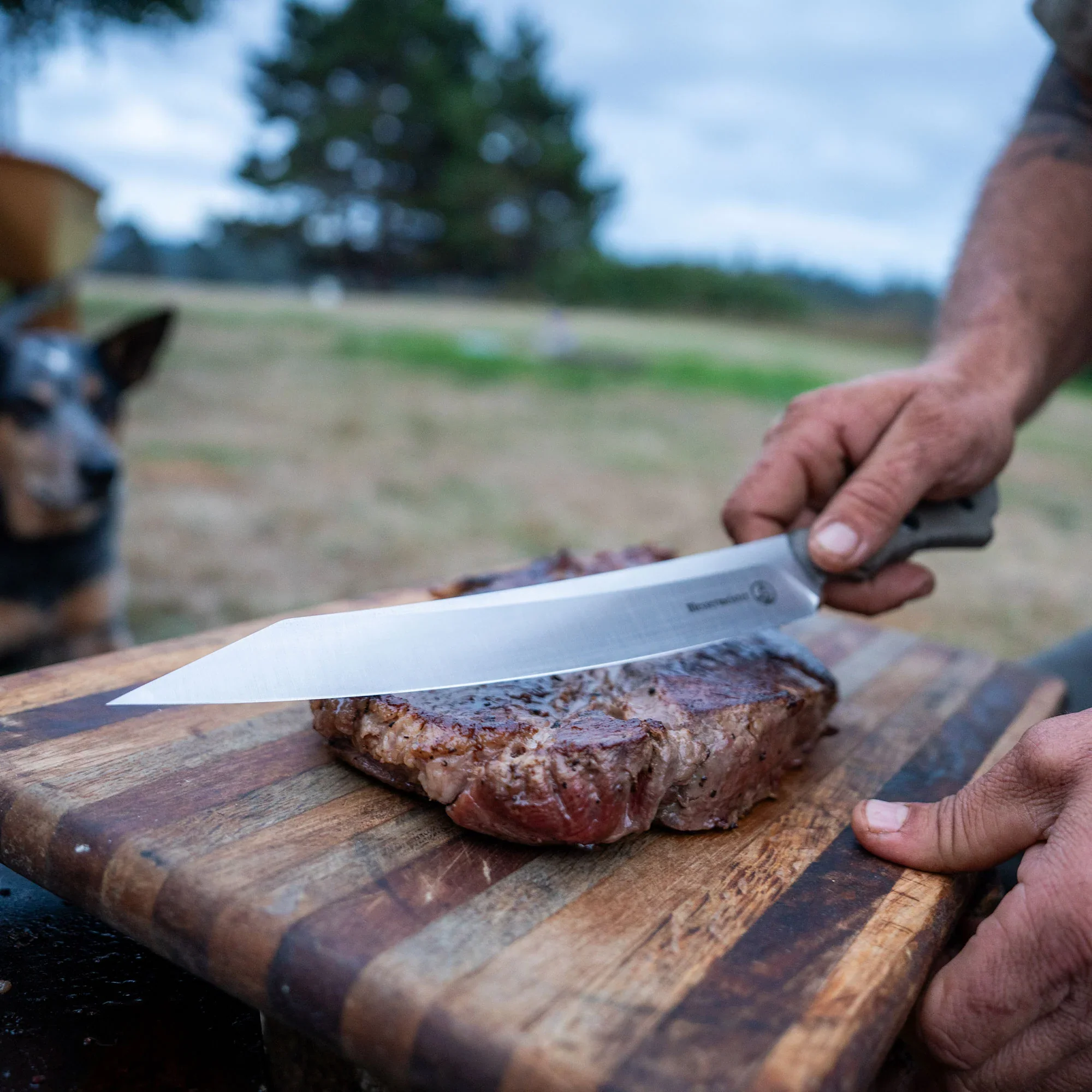 Messermeister Overland Chef Expedition 6 Piece Set - Image 3