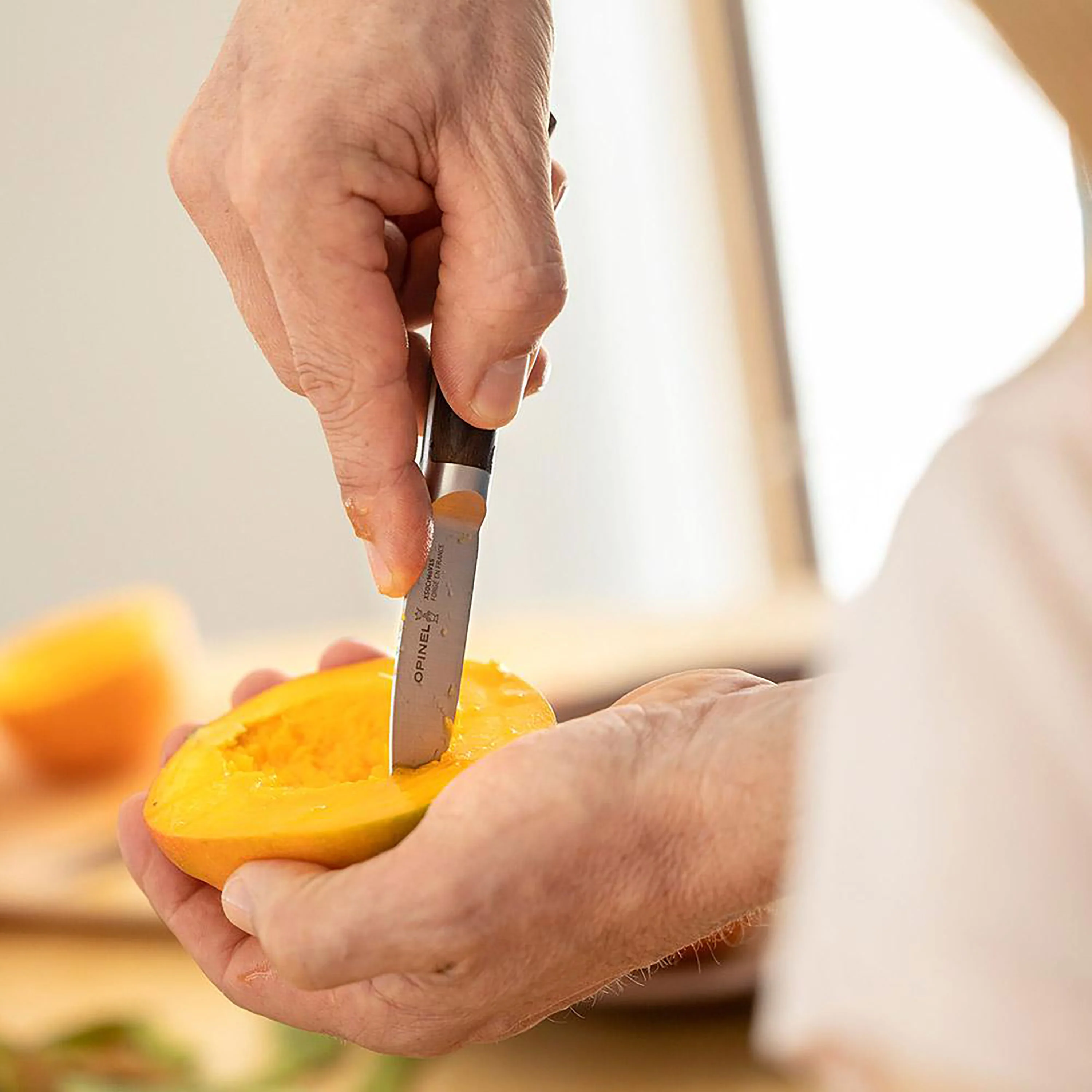Opinel Forged 1890 3" Paring Knife - Image 3