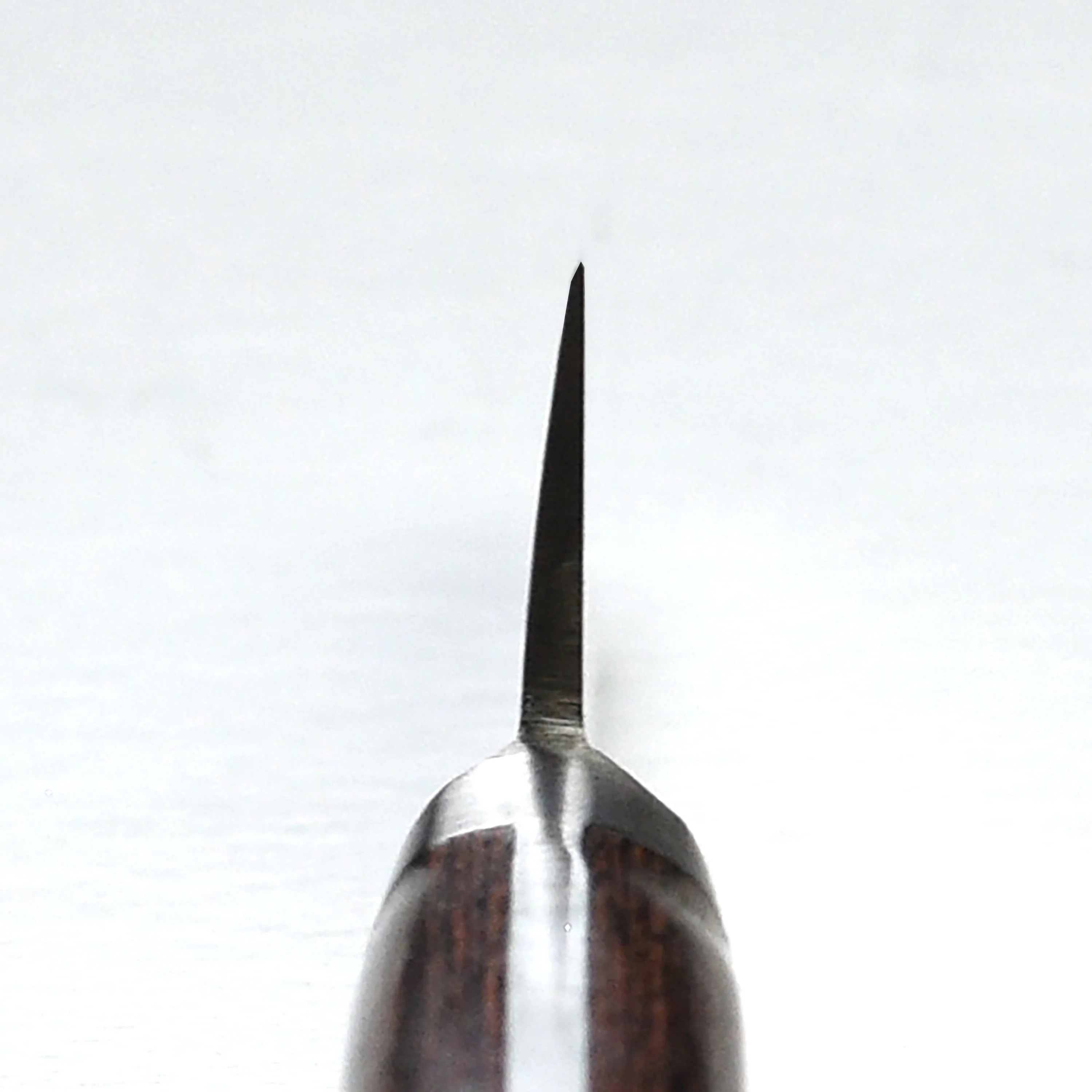 Takayuki Aogami #2 Mono Carbon Steel 5.9" Honesuki - Image 6