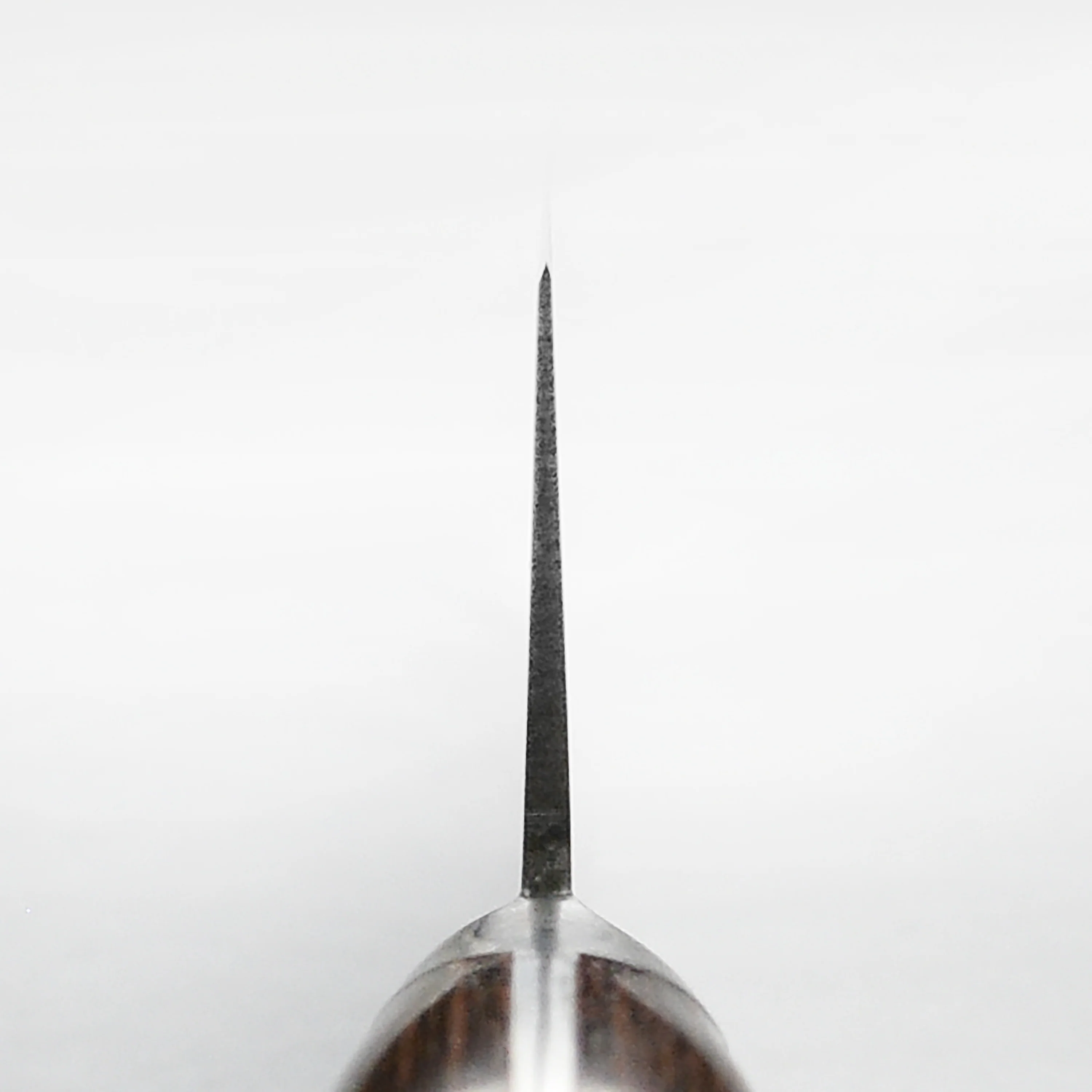 Takayuki Aogami #2 Mono Carbon Steel 10.6" Sujihiki - Image 4